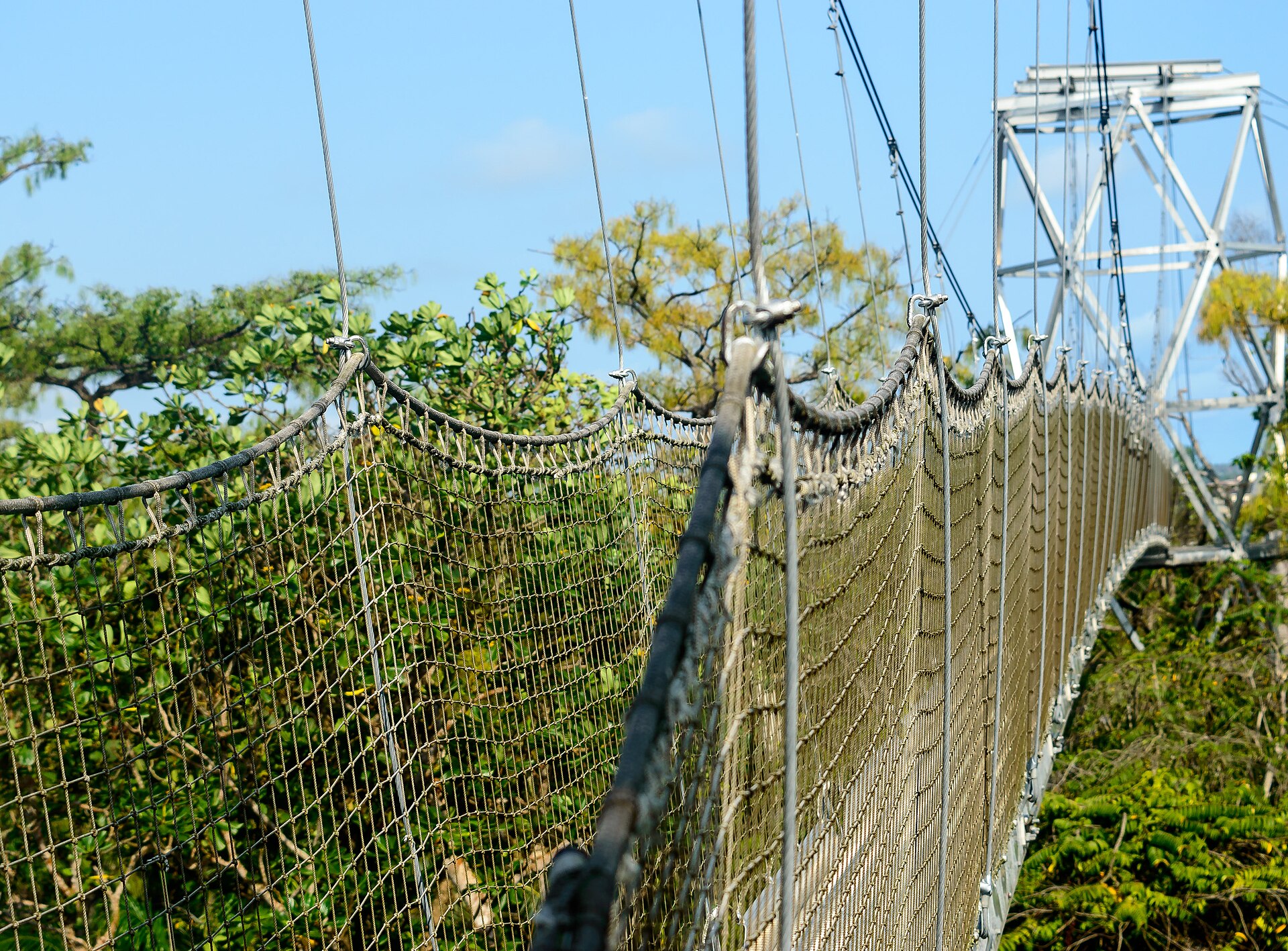 Lekki Conservation Centre